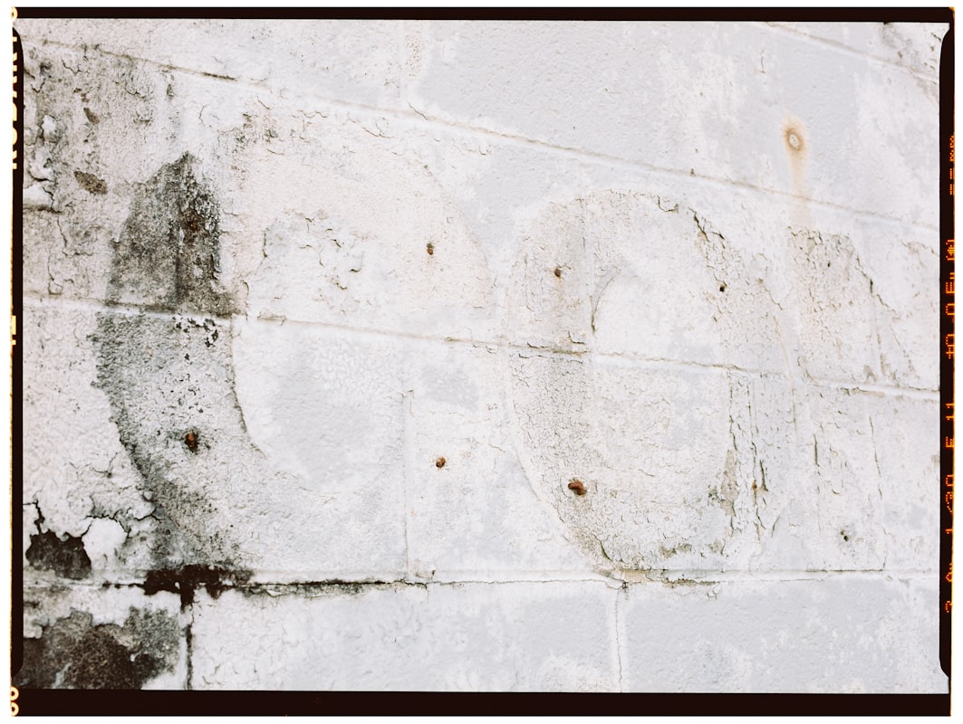 Mold Remediation service in Clarksville, TN